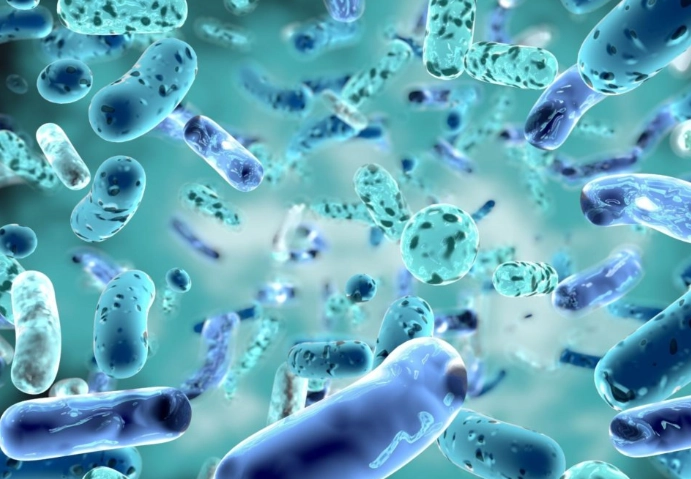 Probiotics for Bad Breath: How Long Until You See Results?