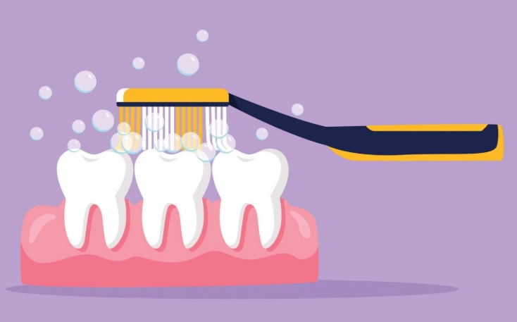 The Correct Order for Brushing Teeth: A Step-by-Step Guide to Optimal Oral Health