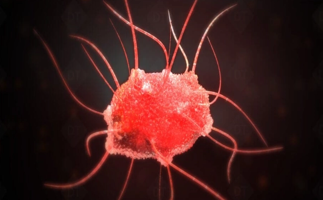 how to treat P. gingivalis