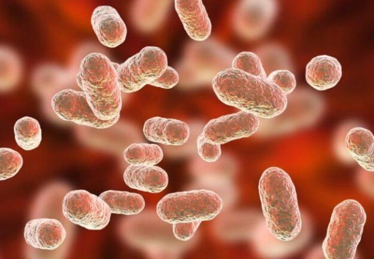 gum disease bacteria treatment