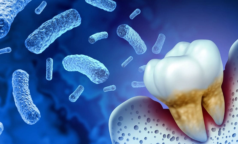 How is E-gingivalis Transmitted? Main Routes & Prevention