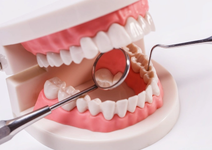 Nutritional Deficiencies and Your Teeth: The Complete Guide