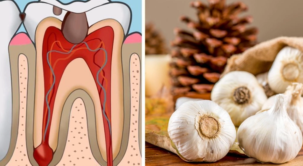 emergency dentist for toothache emergency dentist for toothache