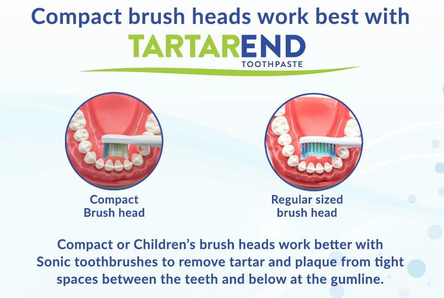 tartar removal toothpaste tartar removal toothpaste