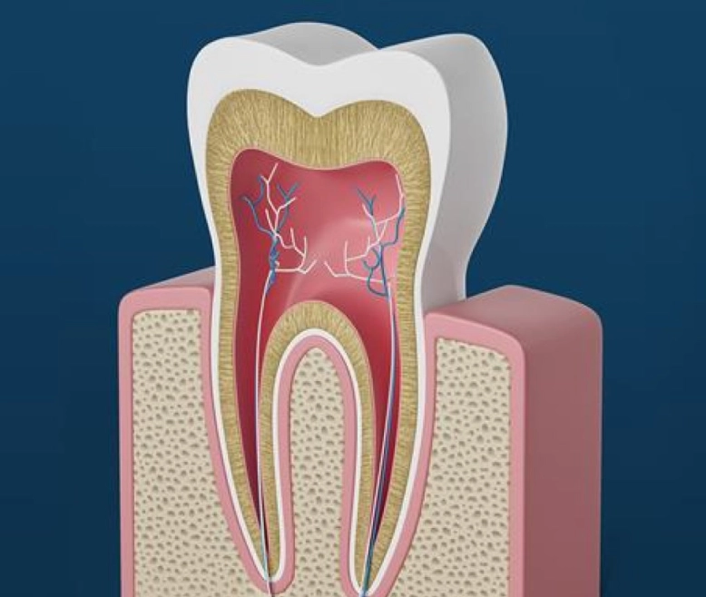 how long for a root canal how long for a root canal